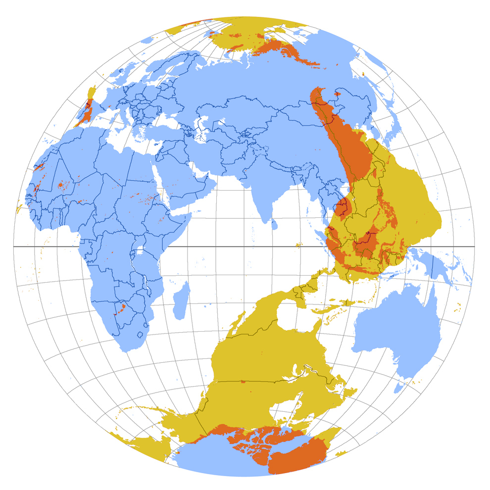 Un mapa que muestra qué hay en el lado exactamente opuesto del planeta: