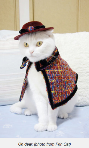 1) Hate getting dressed up