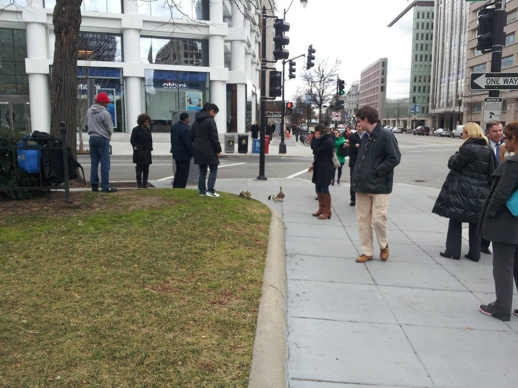 A crowd quickly gathered, all deeply concerned about the duck family's safety.