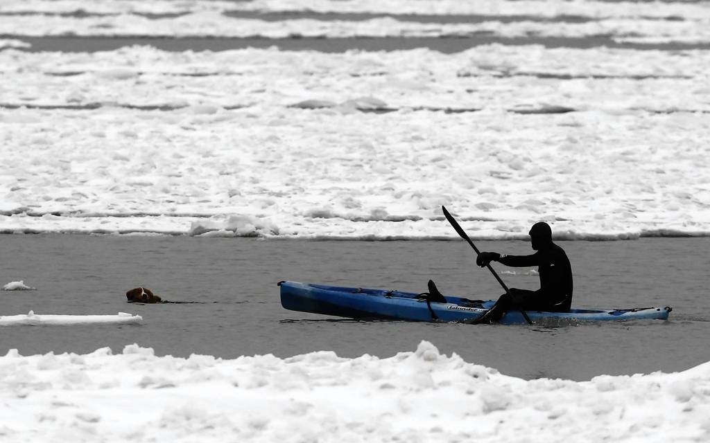 "I grabbed the kayak and pushed off shore and went and got him"