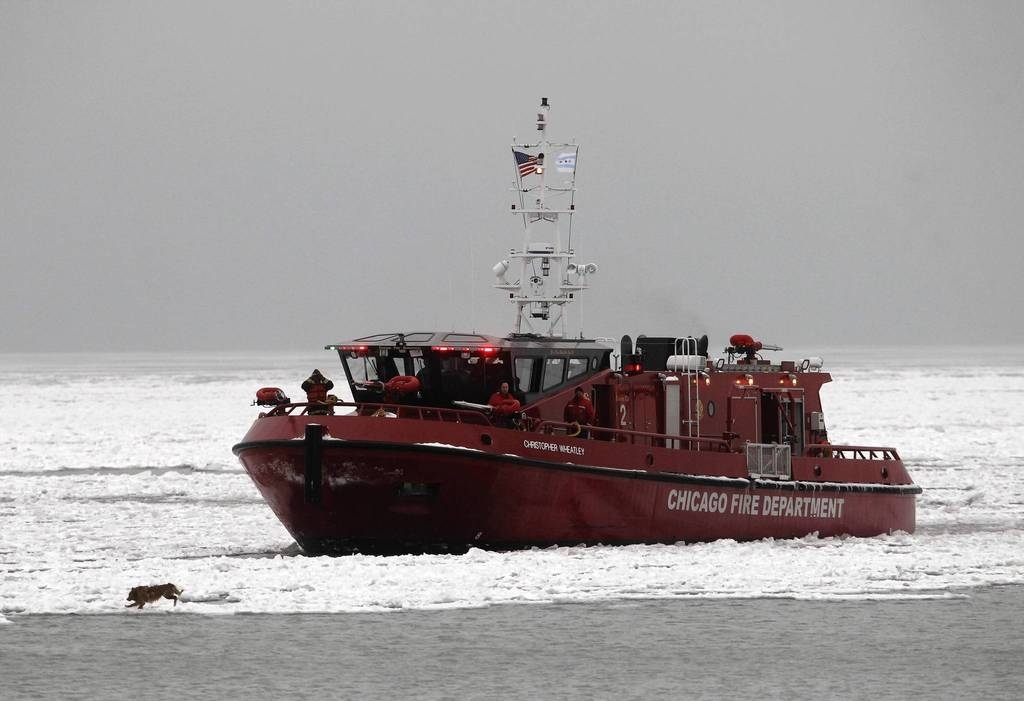 Firefighters also attempt to rescue the dog by boat.