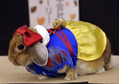 Sure, some might protest against this.... but seriously, how cute is she?