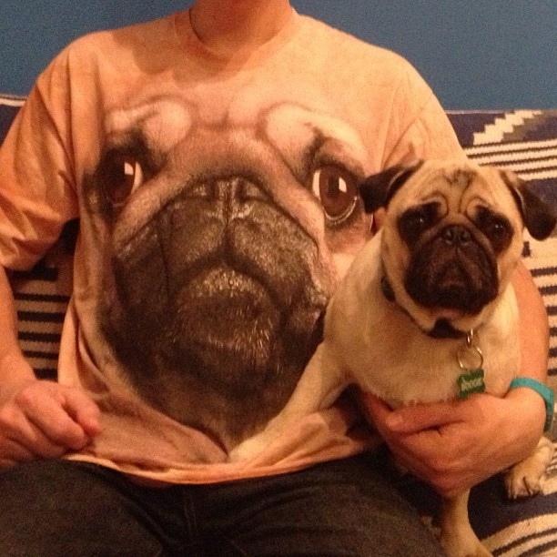 Imitation is the sincerest form of flattery