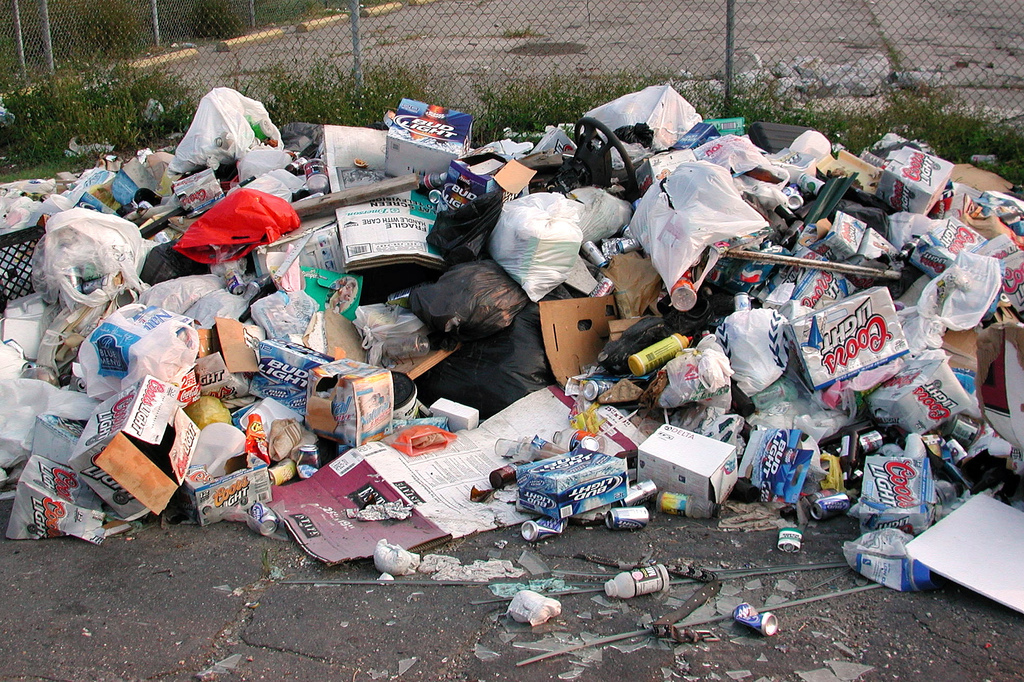 Santa Clara University saw trash and thought, "There is joy here." You get to study why trash is so stinky and take field trips to landfills. This class is essentially a how-to on being a raccoon.