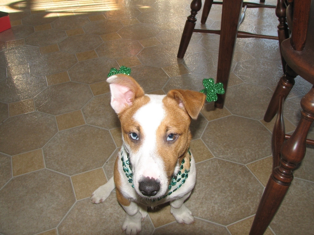 And this one