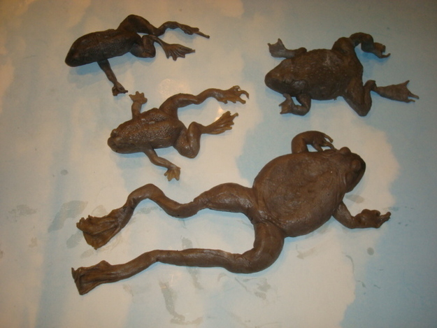 There is an important scene with frogs in this film. These are those frogs.