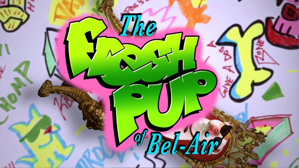 The Pet Collective has busted out a fresh pet parody!
