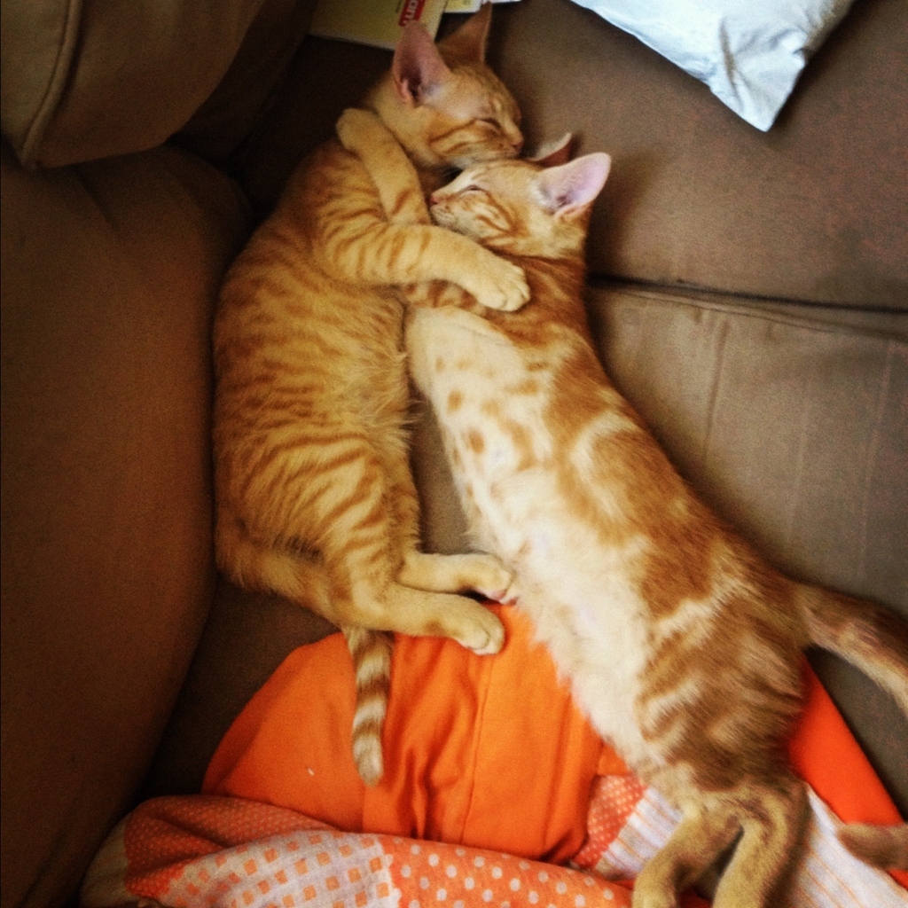 "Oh brother, you're my favorite."