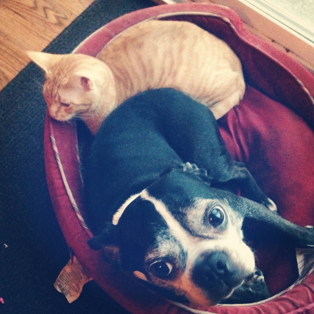 "Why won't you spoon with me, Frank?!"
