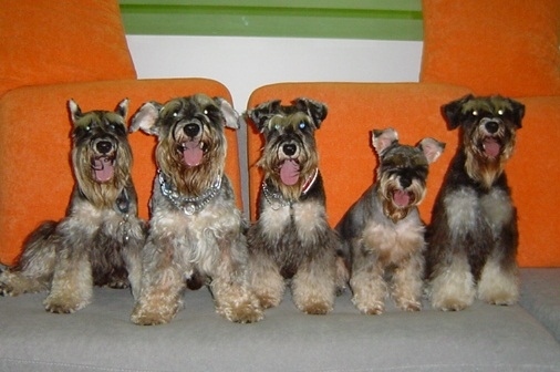 You crack us up!