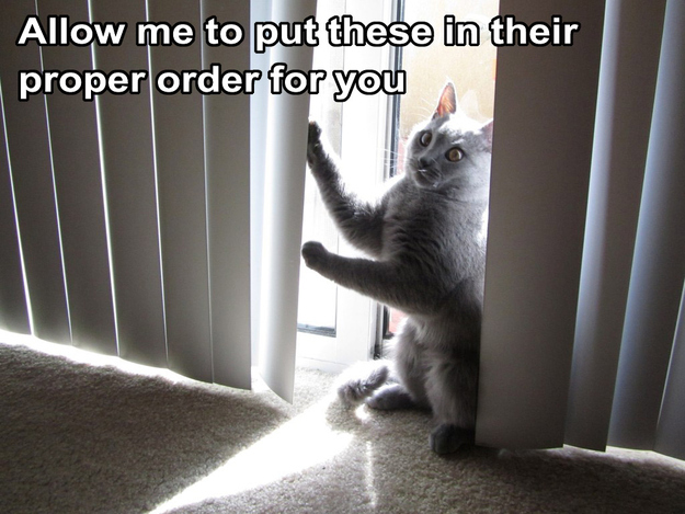 13 Cats That Want To Help You Move