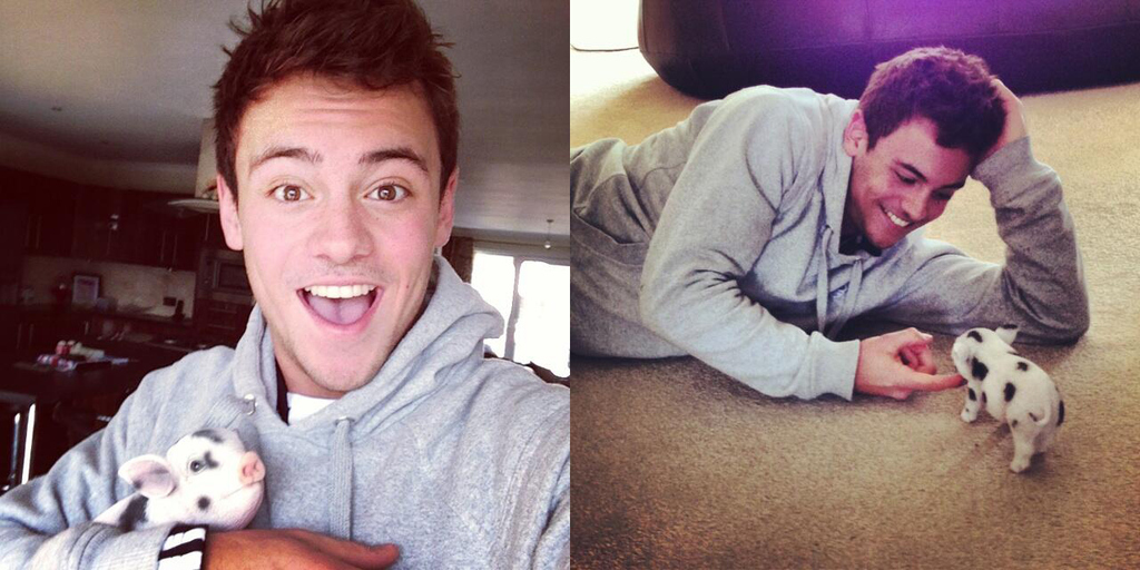 Tom Daley convinced the internet that he had a new a new pet in his life. Unfortunately, it was an early April Fools' gag.