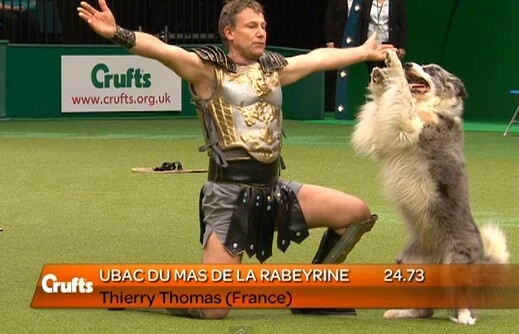 Dog dancing or "Heelwork to Music" premiered at Crufts in 2005. It has since become a crowd favorite, existing somewhere between rhythmic gymnastics and Dancing With the Stars. Costumes are also involved.
