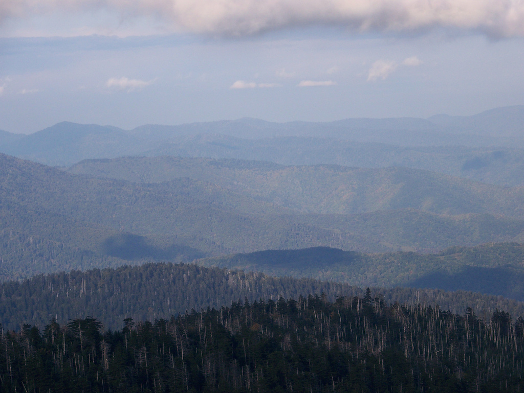 Learn more about the trail to the highest point in Tennessee here.