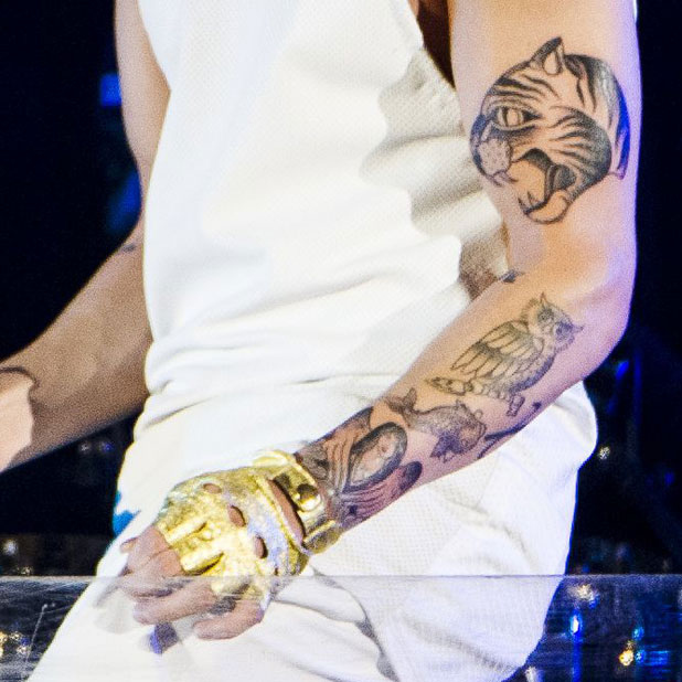 This is officially the lamest sleeve I have ever seen. By the end of summer I fully expect to see a tree frog on his elbow region to round out the animal kingdom.