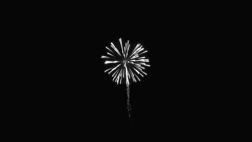 About 2000 years ago, an unknown (but clearly awesome) Chinese dude "accidentally" mixed sulfur, charcoal, and saltpeter together and then inexplicably put the highly volatile contents into a bamboo tube, which exploded. Whatever he was doing, thanks for helping us celebrate the good times, guy.