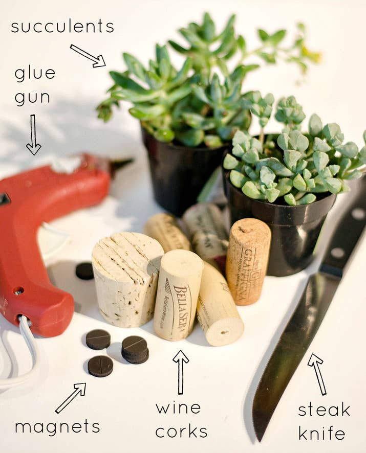 Using the steak knife, core out centers of the corks. Start by putting the tip in the center of the cork and turning the knife in a circular motion. Make sure you don’t go all the way through; stop about ¾ of the way down.