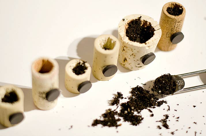 Plant your plants. Pack down the dirt. Drizzle the plants with water.