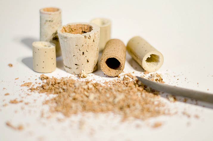 Use the glue gun to affix magnets. Keep in mind that once plants are inserted, the cork will be much heavier, so depending on the strength of your magnet, you made need to affix more than one to handle the added weight.