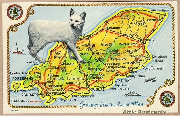 Like Jersey and Guernsey in the Channel Islands, the Isle of Man is a Crown Dependency. This means that they are self-governing, and whilst they follow the UK in many respects, they are free to make laws of their own.