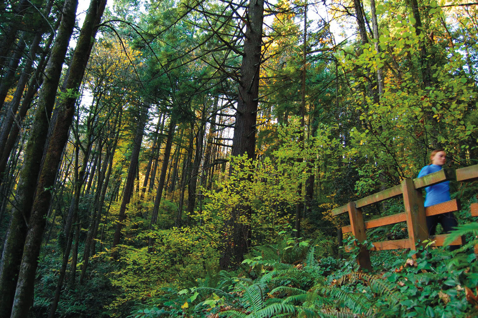 One of the largest parks in US cities, Forest Park is incredible running, hiking and exploring opportunity right within the city limits. In a way a taste of the area before western pioneers arrived its a excellent place to experience the natural beauty of the Pacific NW right within Portland.