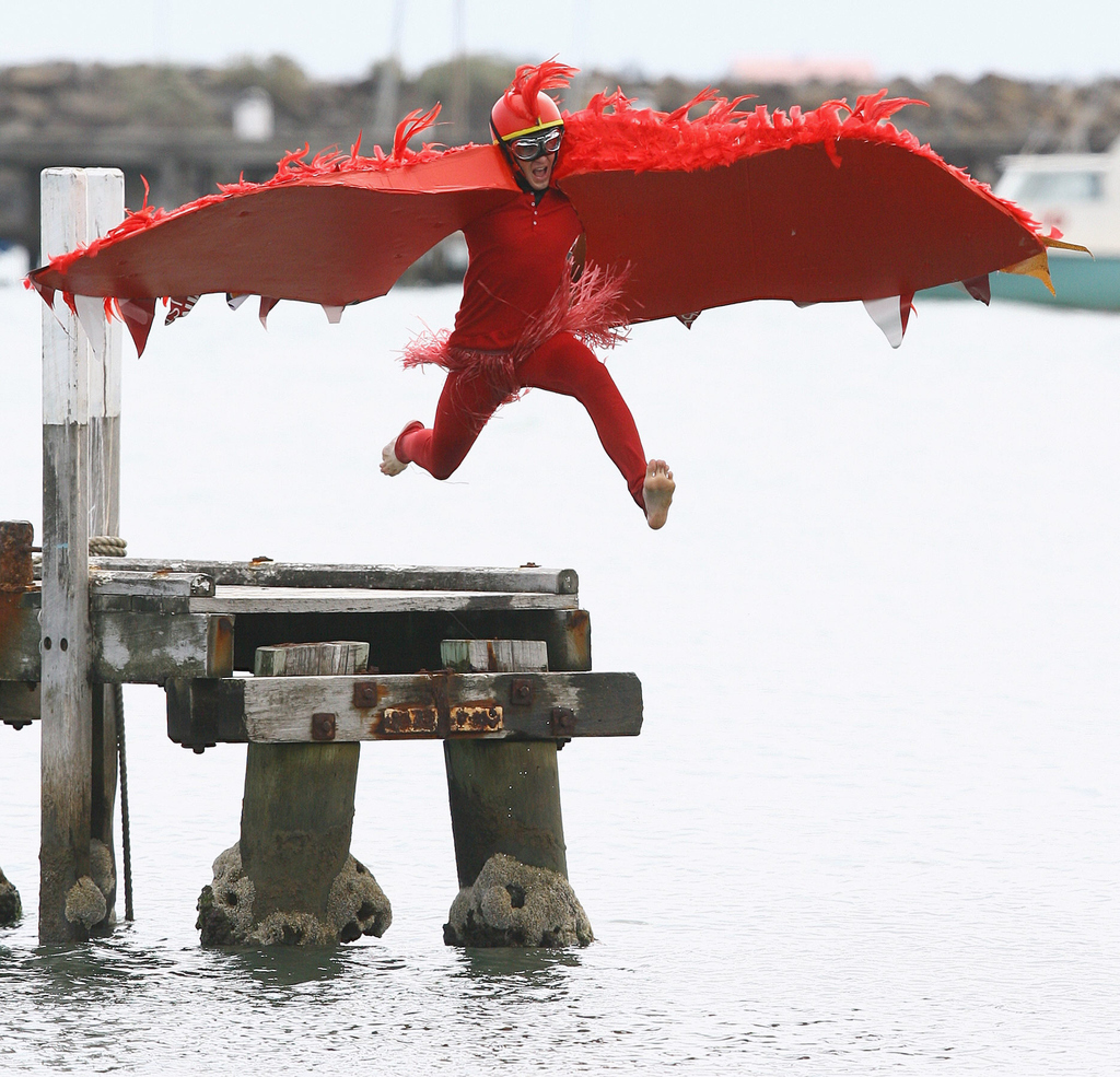 Relive your childhood dreams of flying at the numerous Birdman Rallies held around the world. Participants create elaborate "flying" mechanisms or dress up in costumes and take a leap of faith off a pier in a noble attempt at flight.