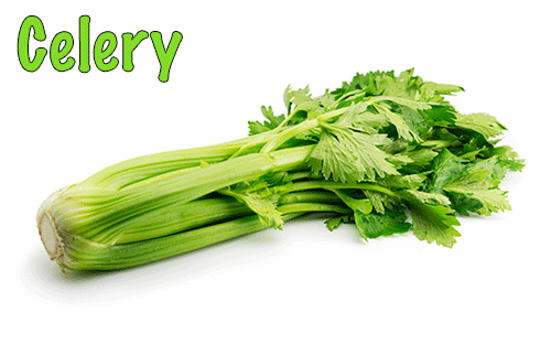 Celery has natural diuretic properties. The potassium and sodium in celery juice regulate body fluid and help rid the body of excess toxins. Celery is also a good source of riboflavin, calcium, and magnesium. Juicing Tip: The high sodium content in celery makes this a great post-workout juice to replenish the salt you lose through sweating. Recharge with this recipe:8 celery stalks1 inch fresh ginger1 bunch cilantro1 Granny Smith apple2 teaspoons fresh lemon juice