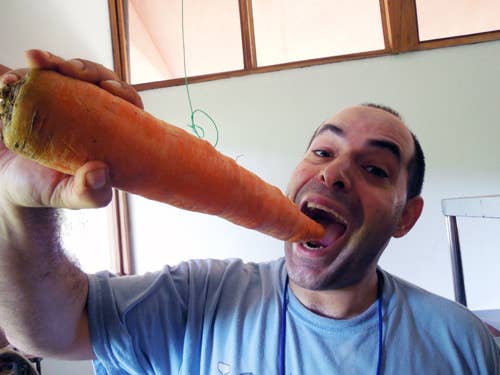 Esse aí é só um cara qualquer segurando uma cenoura enorme, mas um ex-cientista alimentar da Campbell’s descreveu as cenouras com resistência industrial como “semelhantes a troncos de árvore – parecidas com bastões de beisebol”.