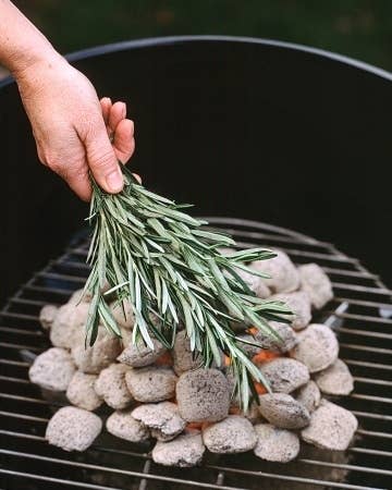 Once the coals are uniformly gray and ashy, cover them with fresh rosemary branches. Your meat and vegetables will be flavored with the taste of savory herbs.