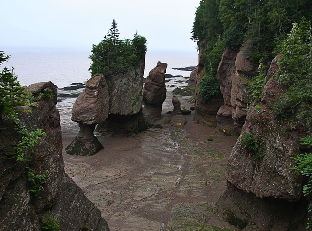 The only thing better than one penis rock is a whole village of them! The little one has character, don’t you think?