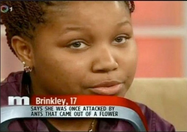 Out of a flower! What is more threatening than a flower? Apparently, a tiny ant. Oh, Brinkley.