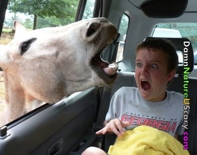 And then you get to one. And its terrifying.