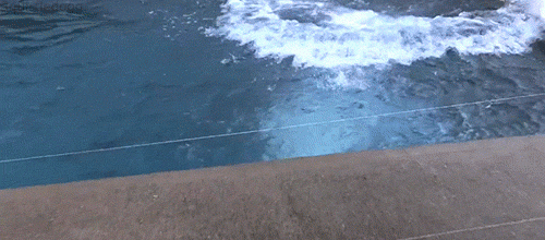 WATER IS MAGICAL
