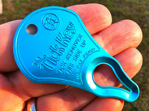 The Tick Key is another super portable option for tick removal.