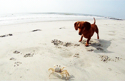 We should have never come to the beach. Ugh.
