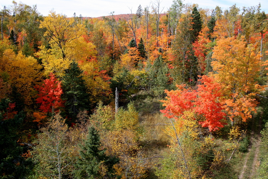 Taken in Lutsen, MN.