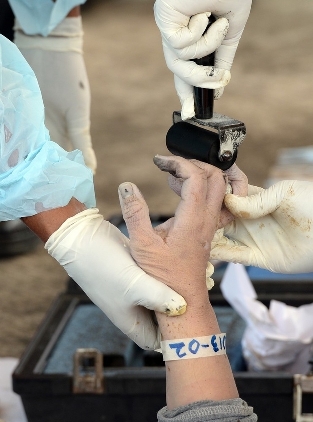 Philippine forensic investigators take fingerprints from a body believed to be that of a ferry passenger on August 18, 2013 two days after the ferry collided with a freighter.