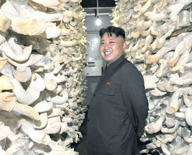 A Mother Was Forced To Drown Her Own Baby In North Korea S