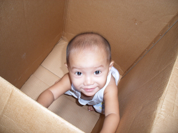 You know the drill. You buy your baby a nice new toy, and they spend the afternoon completely fascinated and delighted with the box it came in. So simple! What ever makes you happy, little one.