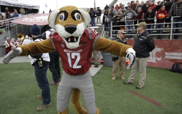 Butch T. Cougar loves you this much!
