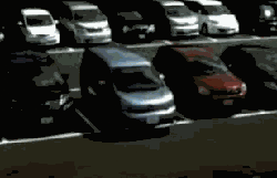There is nowhere to park because parking vultures that circle the lot keep picking all the spots, like it's the last piece of meat off a rotting carcass on the side of the road.