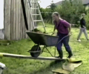 Pushing a wheelbarrow over a tiny unstable ramp is not the brightest thing you can do.