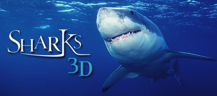 Head to the famous Field Museum for their “Great White Shark 3-D” Film. Learn more about the misunderstood menace of the seas at reefs off the coast of Guadelope Island, New Zealand, and South Africa. Fun fact: this is probably the closest you’ll come to Jaws without being in any real danger, as Great Whites have never been held in captivity for longer than 200 days.