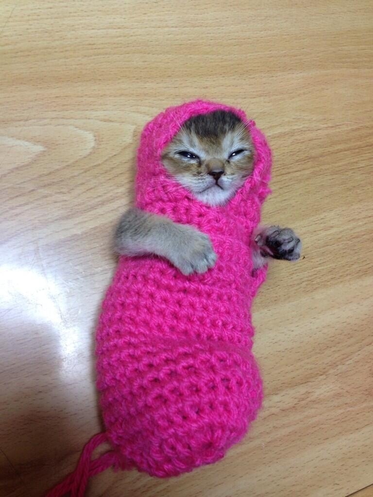 07-08-2013Granny made Wasabichan a new matryoshka outfit! It’s slightly smaller than the previous tarako outfit, seems like?