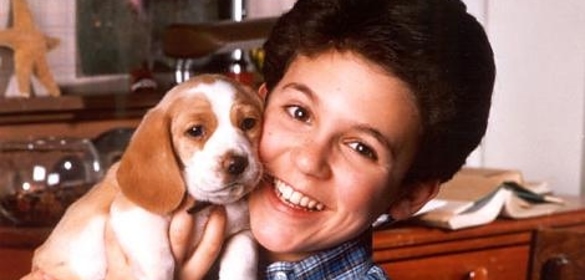 Kevin Arnold from The Wonder Years