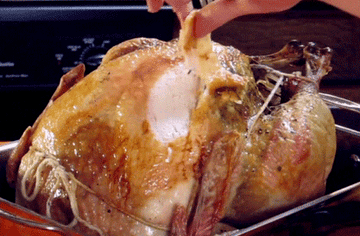 Https Encrypted Tbn0 Gstatic Com Images Q Tbn And9gcrtfevmlip9zb4ecewifhht1 Wlmqcqlyf1mq Usqp Cau