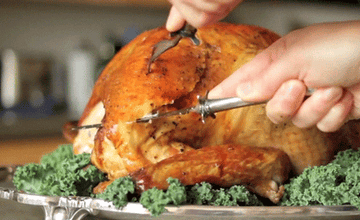 Https Encrypted Tbn0 Gstatic Com Images Q Tbn And9gcty9xzqky T02uhc46wgdds2lht8pl6ax7vxa Usqp Cau