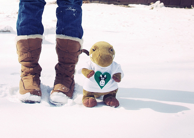 Featuring a cute dinosaur toy.