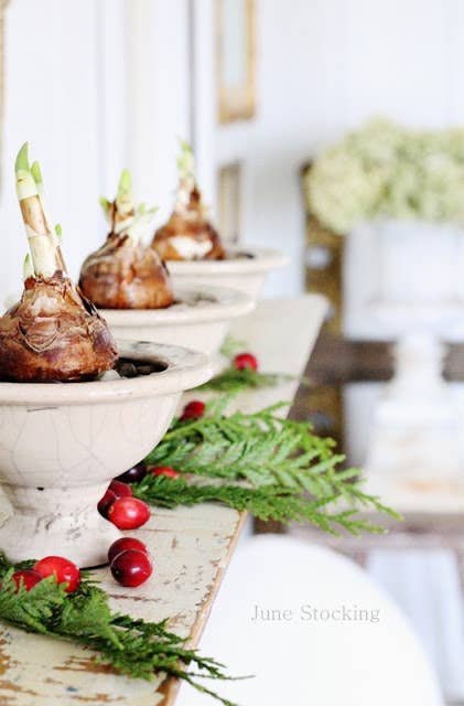 Depending on how you decorate them, you could keep them around all year.