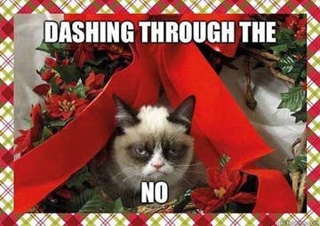 Image result for grumpy cat christmas memes